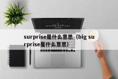 <b>surprise是什么意思（big surprise是什么意思）</b>