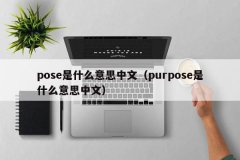 <b>pose是什么意思中文（purpose是什么意思中文）</b>