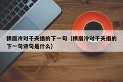 <b>横眉冷对千夫指的下一句（横眉冷对千夫指的下一句诗句是什么）</b>