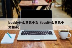 <b>buddy什么意思中文（bud什么意思中文翻译）</b>