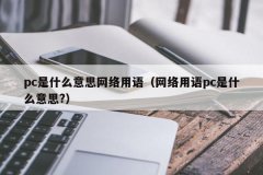 <b>pc是什么意思网络用语（网络用语pc是什么意思?）</b>