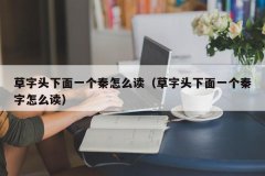 <b>草字头下面一个秦怎么读（草字头下面一个秦字怎么读）</b>