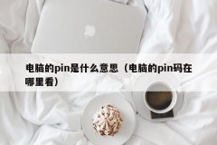 <b>电脑的pin是什么意思（电脑的pin码在哪里看）</b>